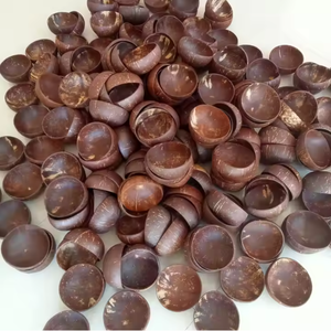 Bol en Coque de Noix de Coco Naturelle de Haute Qualité, Écologique, pour Servir les Aliments, Fabriqué au Vietnam, Dragonex Vietnam CCS01 2025 - Product Image 4