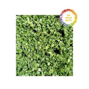 Cebolla Verde Seca Vietnamita Premium y Cebolleta Verde Apta para Exportación y Cocina Diaria que Brinda un Excelente Sabor - Product Image 2