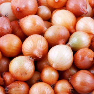 Cebollas Doradas Orgánicas Frescas de Calidad, Cosecha Reciente, Sin Pelar - Product Image 1