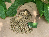 Café Vert Robusta Biologique à Prix Abordable, Grains de Café de Qualité Supérieure du Vietnam, Vente en Gros Sinh Nguyen 50kg/sac
