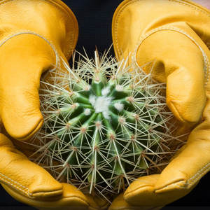 Guantes de conductor de cuero de oveja a precio barato Diseño personalizado Protector de manos Los mejores guantes de conductor de cuero nuevos guantes de cuero - Product Image 3