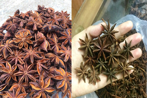 Anís estrellado de hierbas y especias individuales Premium de alta calidad Autumn Star al precio más competitivo directo de Agrikim Vietnam - Product Image 4