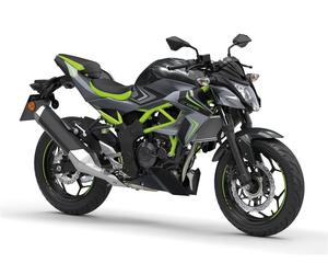 Qualité Z125 125cc Supernaked (Motocyclette) - Product Image 2