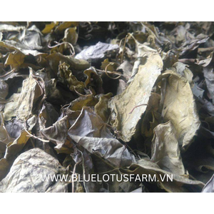 ใบผักชีกรอบแห้งจากเวียดนาม คุณภาพสูง - Product Image 3