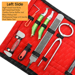 Farrier <b>Tools</b> Kit nail extractor horseshoe clinching pliers double sided rasp farrier hammer hoof pick Horseshoe Grooming Kit - Product Image 4