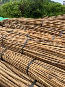 Poteau en rotin naturel de bonne qualité pour le mobilier d'extérieur - Product Image 5