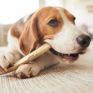Juguete Masticable de Madera de Café Duradero para Perros - Hecho a Mano con Cuidado - Product Image 5