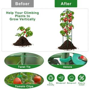 Heavy-Duty Garden <b>Tomato</b> Cage & Climbing <b>Plant</b> Support Trellis Kit - Product Image 5