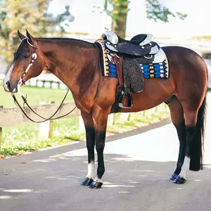 Sillín de exhibición de caballos de cuero occidental de vaquero de alta calidad, hermoso ajuste, sillín de caballo occidental, sillín de caballo de carreras