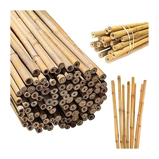 Garden farming agriculture stake pole bundles cheapest price bamboo canes for sale natural cane sticks