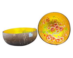 Tazón de laca de coco de la mejor calidad, estilo único, colorido, reutilizable, producto caliente, precio razonable, nueva marca - Product Image 3