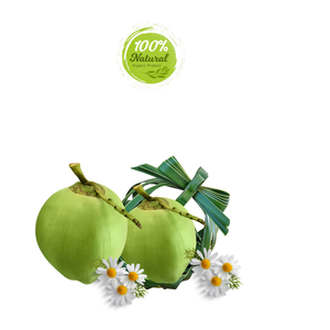 Coco fresco vietnamita, fuente de energía naturalmente refrescante, producto agrícola - Product Image 4