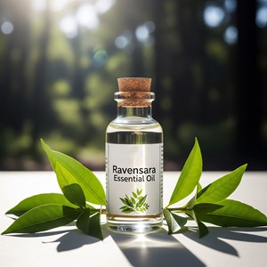 Huile essentielle de Ravensara naturelle pure de qualité thérapeutique Cinnamomum camphora Huile d'aromathérapie Fournisseur en gros - Product Image 2
