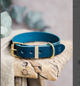 Collier de chiot gravé personnalisé avec matériel en laiton Greyhound et Whippet - Product Image 1