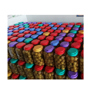 Citron vert mariné/citron vert salé/citron conservé en saumure prix bon marché de haute qualité à vendre de l'usine vietnamienne-99 Gold Data - Product Image 4