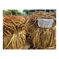 Bahan HYACINTH air untuk produk FURNITURE tenun/bundel air kering HYACINTH EICHHORNIA CRASSIPES akar
