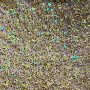 Vải nhung với sequins 100% polyester strech mềm paillettenstoffe lấp lánh vải tuyn phong cách thêu ren vải nhung - Product Image 4
