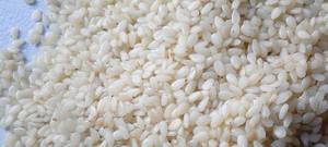 Graines de sésame - Product Image 6