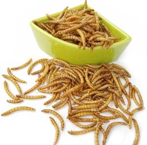 Comida de pájaros de gusanos de harina seca para comida de mascotas - Product Image 2