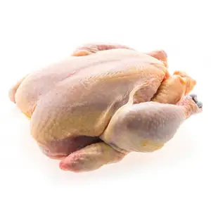 Pollo congelado Halal de alta calidad Precio de venta al por mayor Pollo congelado Halal de la mejor calidad en todo el mundo Precio barato