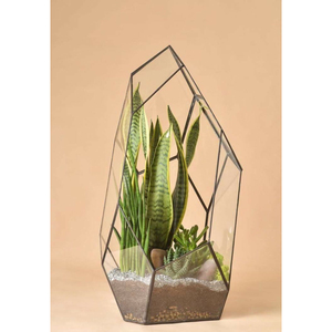 Diferentes formas de alta calidad, único, atractivo, mejor diseño, marco de Metal, Terrario de vidrio transparente, decoración para interiores y exteriores - Product Image 3