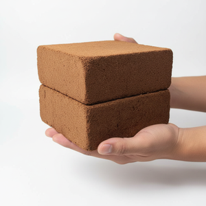 Cocopeat Super Premium à faible teneur en EC pour le milieu de culture des plantes - Product Image 1