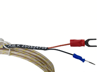 Thermocouple et capteur RTD de type puce personnalisables pour la mesure de la température de surface |   Prise en charge OEM |   Usine source