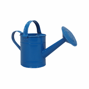 Arrosoir en métal de conception antique arrosoir pour enfants personnalisé en usine outils de jardin arrosoir en métal pour enfants - Product Image 1
