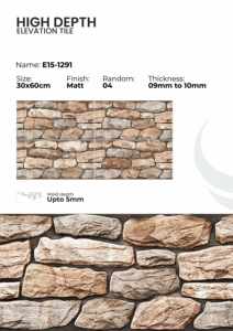 Azulejos de Porcelana para Paredes Exteriores de 300x600 mm, Elevación Exterior - Product Image 4