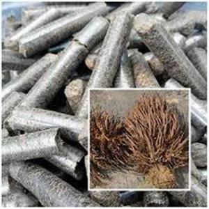 Proveedor de Palm Kernel Shell (PKS) para biocombustible y material industrial a precio barato - Product Image 4