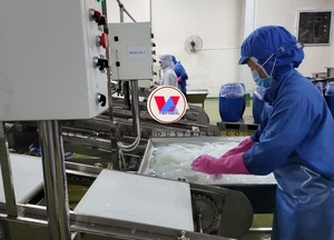 Gelatina de Coco de Vietnam |   Directo de Fábrica |   Suministro a Granel - Product Image 5