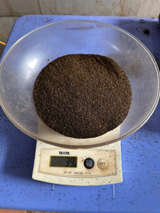 PINHEAD BLACK PEPPER 1mm 80% prix d'écran séché avec le processus de séchage de l'annonce traitement brut exportation Contact MR Thomas WS 84789896886 - Product Image 3