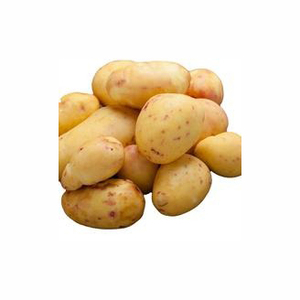 Export Frozen French Fries Frozen <strong>Potato</strong> Frozen Finger <strong>Chips</strong> <strong>chips</strong> Semi-finished Fresh <strong>potato</strong> Strips / Fresh Frozen <strong>potatoes</strong>