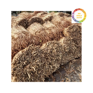 ผักตบชวาแห้งเหมาะสำหรับผู้ผลิตของตกแต่งสีเขียวและงานฝีมือ - Product Image 6