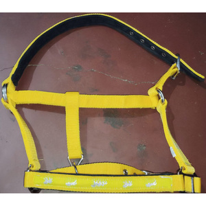 À VENDRE PP HALTER 3 PLIS AVEC DOUBLE ANNEAUX INDE COULEUR BLANC EN DOLLAR 2.5 CARTE DE CRÉDIT TAILLE ACCEPTÉE plein cob Shetland - Product Image 3