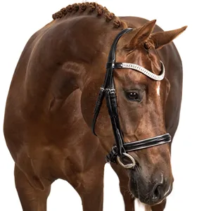Barato al por mayor nueva tendencia estilo de moda último diseño de alta calidad caballo brida de alta calidad diseño de moda caballo - Product Image 2