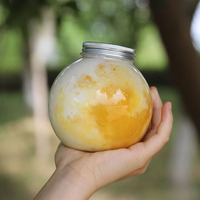 Botol plastik botol PET 16oz Harga Murah kubah bundar plastik botol pesona liontin DIY gelembung hewan peliharaan kosong