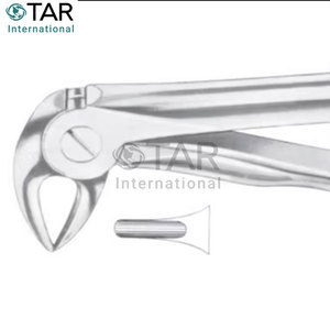Fig. 33S Raíces inferiores para niños Fórceps de extracción de dientes de diferentes tamaños Instrumentos médicos dentales - Product Image 4