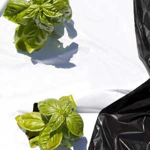 Film de paillage agricole noir et blanc en LLDPE traité anti-UV - Product Image 5