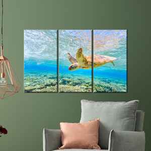 Ocean <b>Blue</b> Wall Art <b>Canvas</b>: Swimming Sea Turtle Print for Home Decor,3P: White Framed - Product Image 1