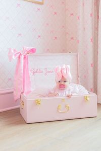 Modern stylish Storage trunk strong trunk use for home garden farm house bed room living room guest room other. - Product Image 6