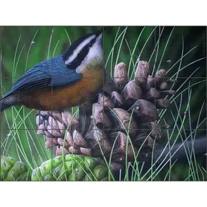 Justin Sparks Nuthatch Art Mural de cerámica JSA031 Bird Tile Backsplash Murales de pared - Product Image 1