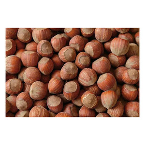 Noix de qualité supérieure en gros à vendre à prix avantageux - Product Image 1
