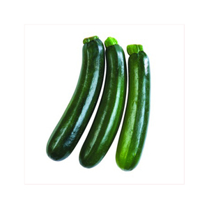 Courges et concombres de courgette fraîche pour service alimentaire Produit d'exportation à bon prix à vendre - Product Image 6