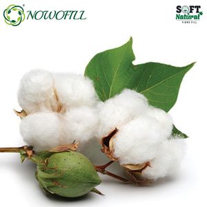 Algodón aire caliente - Product Image 3