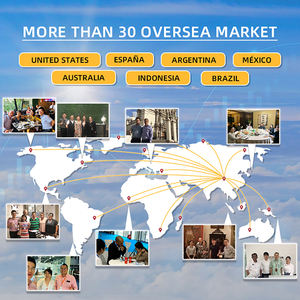 Heavy Boxy sweats à capuche surdimensionnés French Terry Logo personnalisé Placement Boxy recadrée ajustement 3d gaufrage pour Skate Culture Yoga retraites - Product Image 6