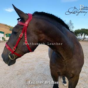 Meilleure vente de bride de cheval en cuir personnalisée de styles occidentaux anglais bride d'équitation en cuir véritable fournisseur en gros tendance - Product Image 6