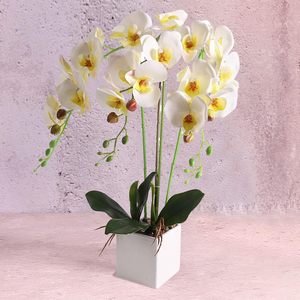 ก้านดอกกล้วยไม้ปลอม THAOF-132 9ต้นบุปผาขนาดใหญ่38นิ้วกิ่งก้านฟาแลนอปซิสน้ำยางเทียมสัมผัสแท้สำหรับเทศกาลคริสต์มาสอีสเตอร์ - Product Image 4