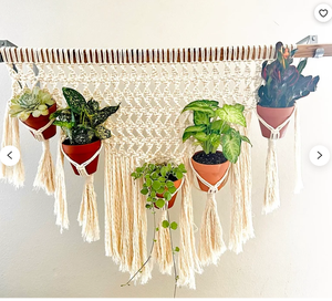 Large Macrame Plant Hanger Customized Macrame Plant Hanger for <b>Wall</b> and Window Decoration - Product Image 1