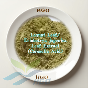 Hgo สารสกัดจากใบโคโรซอลิก (เกรดอาหาร) 1% - 5% - Product Image 1